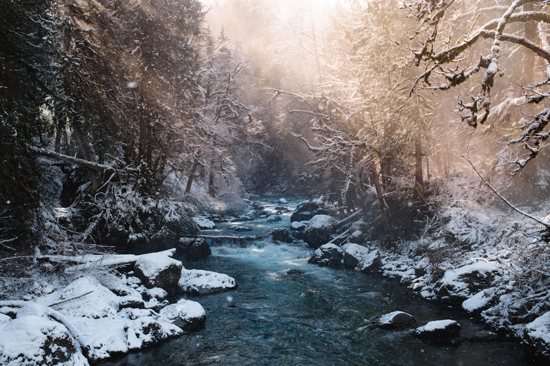Exploring the Serene Beauty of Stoney River
